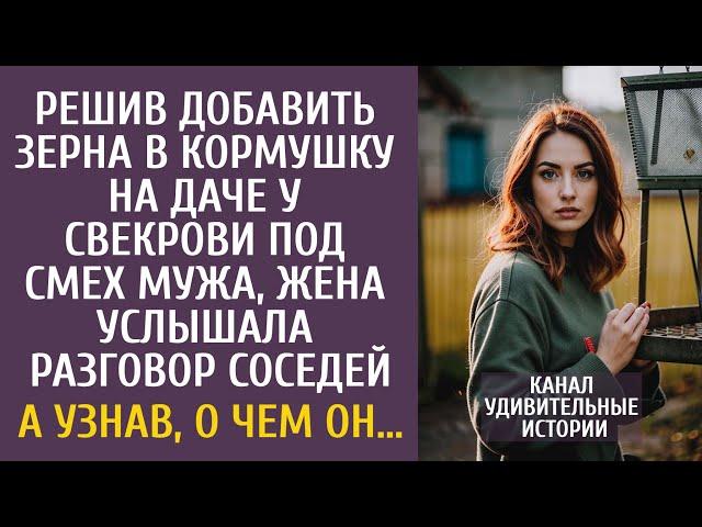 Решив добавить зерна в кормушку на даче у свекрови, услышала разговор соседей… А узнав, о чем он…