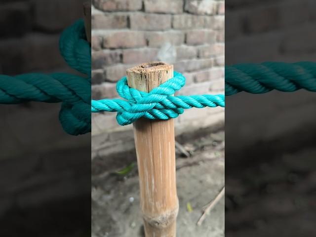 amazing knots