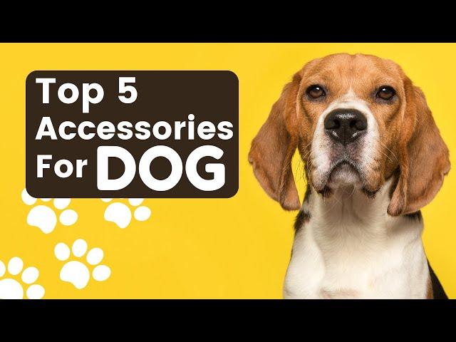 Top 5 Sellers in "Must Have" Dog Apparel & Accessories