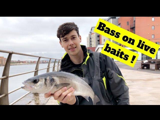 SWANSEA PIER FISHING | BASS AND MACKEREL