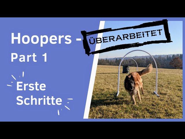 NEU: Hoopers - Part 1 für Einsteiger/ Anfänger geeignet | Anleitung | NADAC Hoopers Agility Training