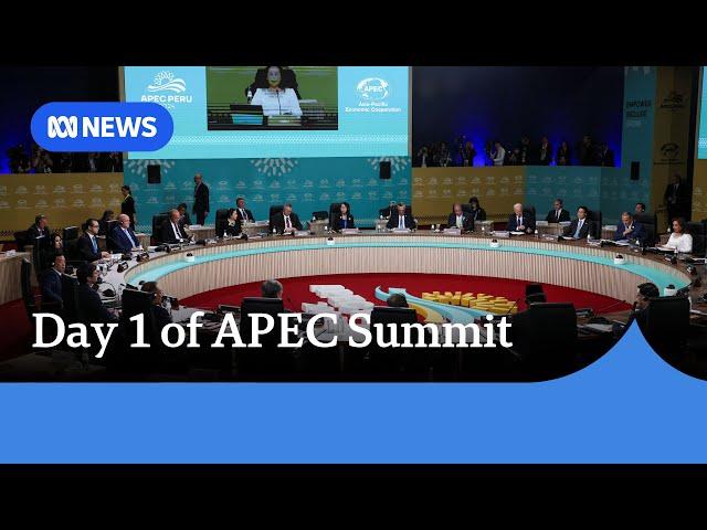 Xi Jinping a no-show on APEC summit’s first day | ABC News