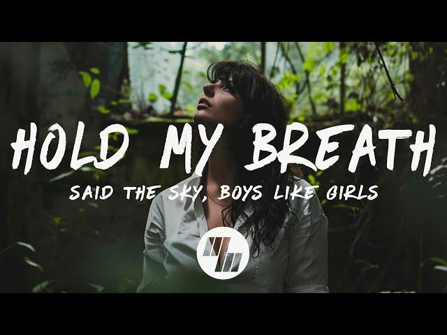 Said The Sky & Boys Like Girls - Hold My Breath (Lyrics)