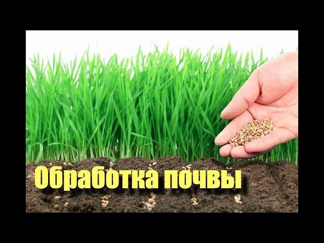 Правильная обработка почвы. Как повысить плодородие почвы.