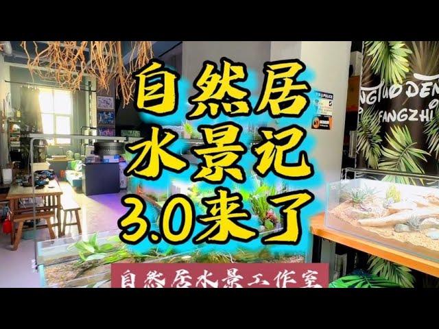 自然居水景记3.0来了#玻璃缸中的大自然 #水草造景 #鱼缸造景~家庭和办公室的大自然【自然居水景记】