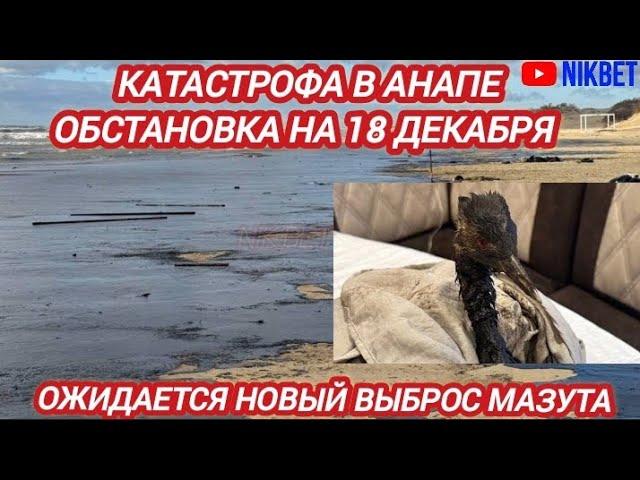 ‼️ В АНАПЕ ОЖИДАЕТСЯ НОВЫЙ ВЫБРОС МАЗУТА НА ПОБЕРЕЖЬЕ. АНАПА СЕГОДНЯ