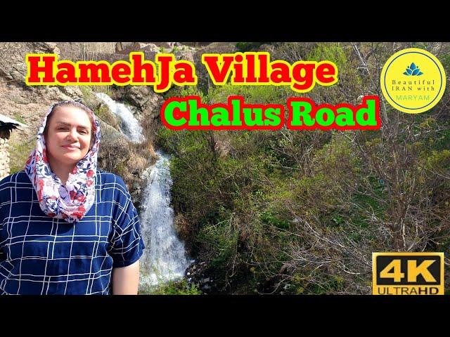 HamehJa Village,Chalus Road - 4k