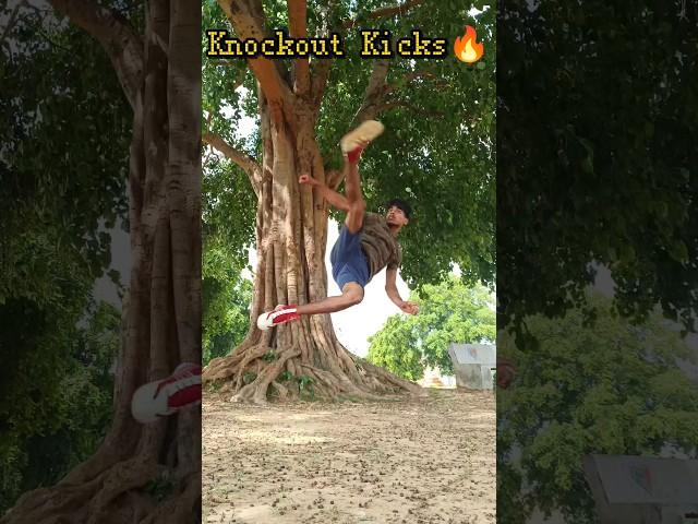 Knockout Kicks #taekwondo #karate #trick #training #fighting #mma  #kungfu #speed #power #shorts