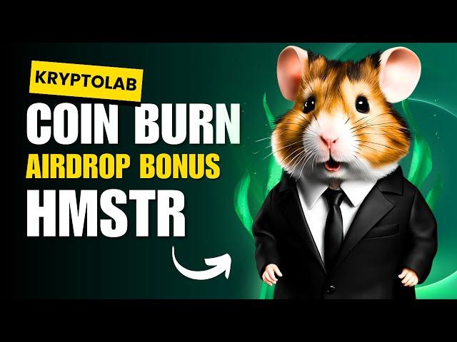 Hamster Kombat Ratuje Airdrop? Będzie Coin Burn?!  | Kryptowaluty