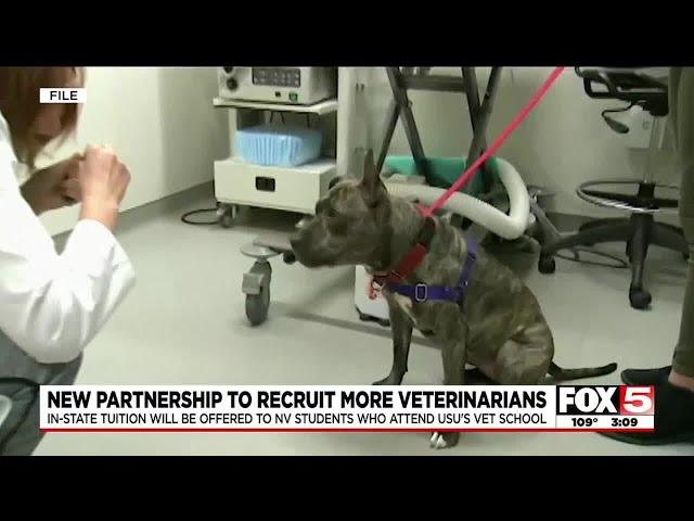 New partnership to recruit more veterinarians