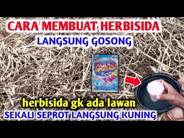 Luar biasa Langsung Kering rumputnya Cara membuat herbisida pembasmi rumput paling ampuh