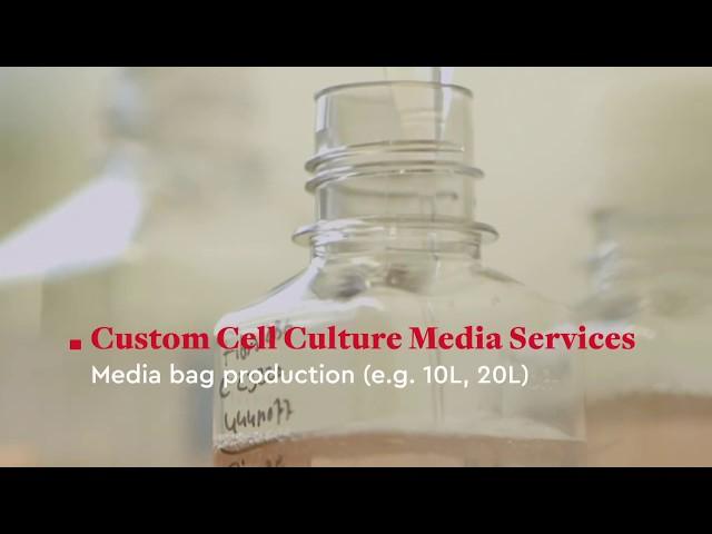 PromoCell Customized Primary Cell Culture Solutions