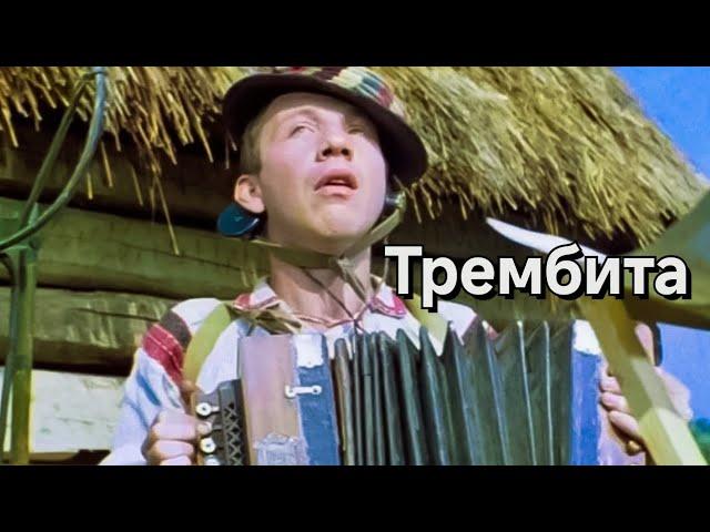 ТРЕМБИТА.1968. Реставрация.Комедия.Советский фильм в хорошем качестве.HD1080.Смотреть онлайн. Старый