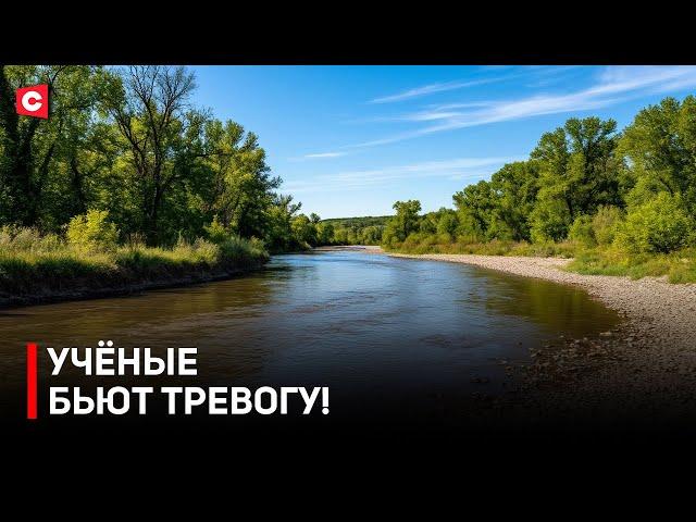 КАТАСТРОФА В БЕЛАРУСИ! Почему мельчают реки? Какие угрозы для природы?