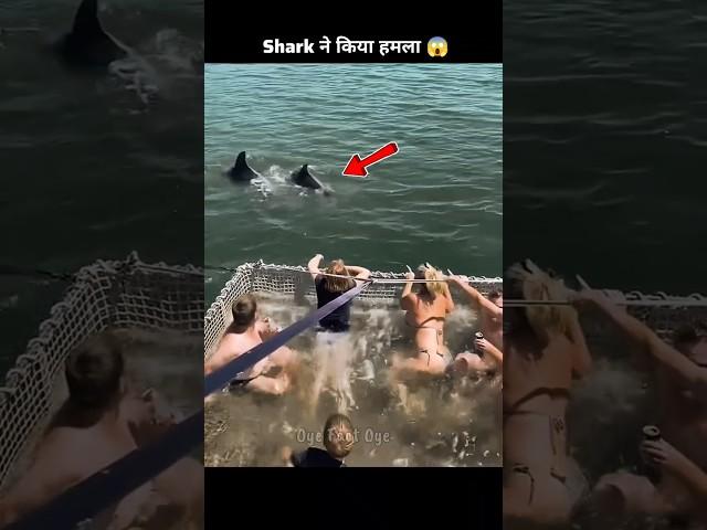 Shark ने खेल बिगाड़ दिया | fact video #shorts #facts