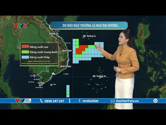 Dự báo thời tiết biển ngày 31/12/2024 | Ngư trường cá ngừ đại dương | VTVWDB