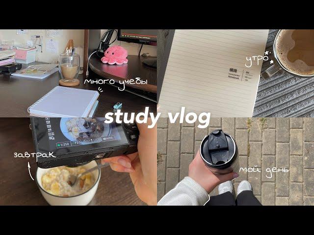 Study vlog | учебный влог | один день из моей жизни