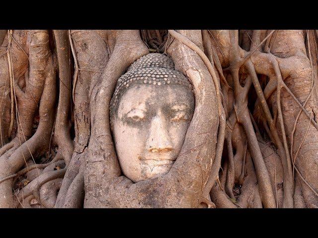 Top 10 Places to Visit in Thailand