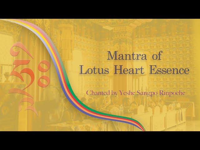 海生蓮師心咒/ Mantra of Lotus Heart Essence | Chanted by Yeshe Sangpo Rinpoche |  SAMYEPA