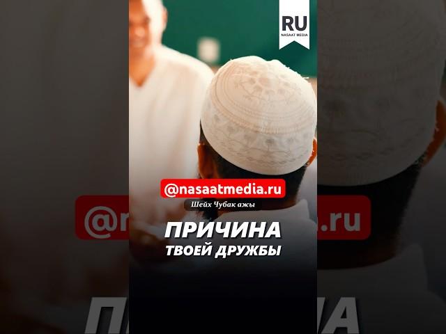 Причина твоей дружбы. #насаатмедиа #rec #rek #film #шейх_чубак_ажы #live #чубакажы #ислам #насаат