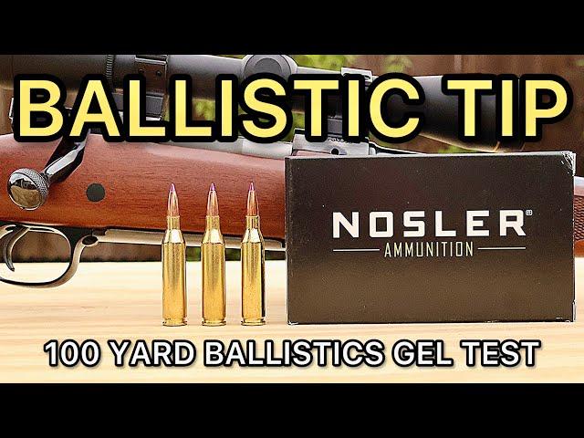 243 Winchester Nosler Ballistic Tip 90 grain Ballistics Gel Ammo Test