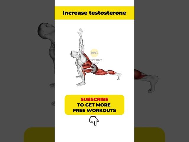 How to increase testosterone