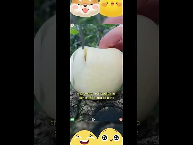 Delicious Cream Fuji Apples: Crisp, Sweet, and Juicy!