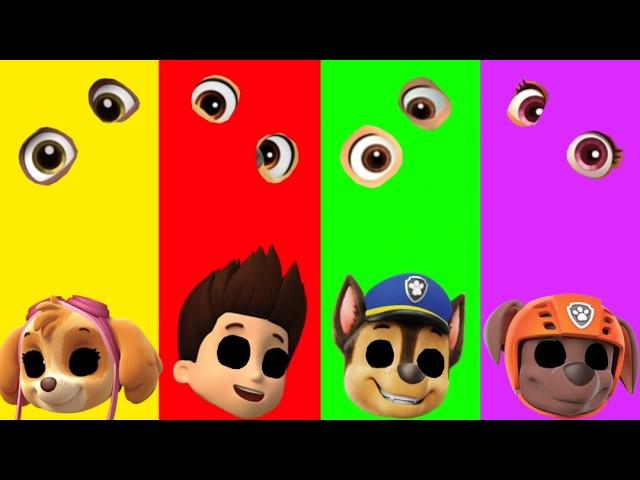 Wrong eyes challenge DAME TU COSITA Paw Patrol Funny Puzzle Wrong Heads