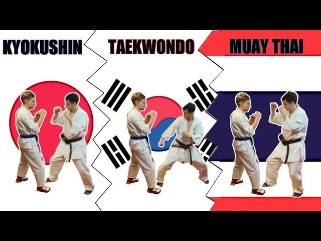 FIGHTING STANCE | Taekwondo vs Muay Thai vs Kyokushin Karate | PROS & CONS