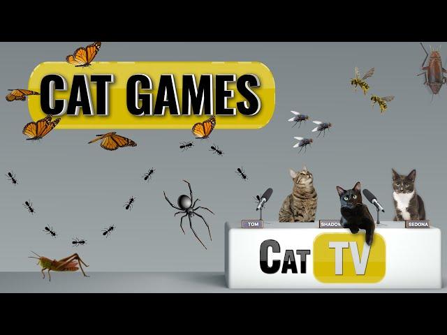 Cat Games | Ultimate Cat TV Bugs and Butterflies Compilation Vol 2 | Videos for Cats to Watch