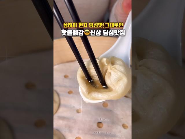 상하이 현지에서 온 쉐프가 오픈한 부산1티어딤섬맛집 최초공개! 위치:고정댓글 #부산맛집 #부산여행 “