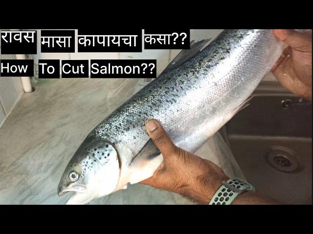 " रावस मासा कसा घरी कापायचा?"//How to cut Salmon(Ravas )At Home??//Filleting A whole Salmon Fish