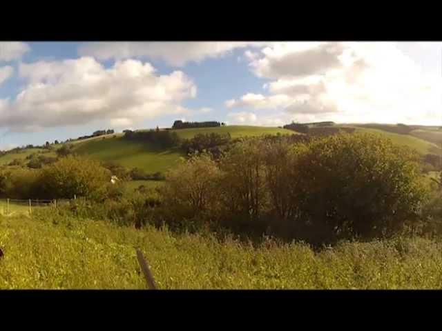 Pheasant shooting in Wales