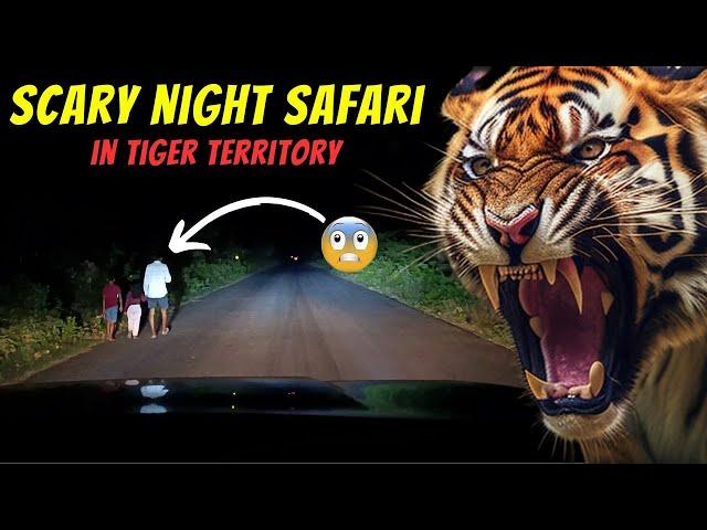 Scary night drive in Forest | Night Safari in Pilibhit Tiger Reserve