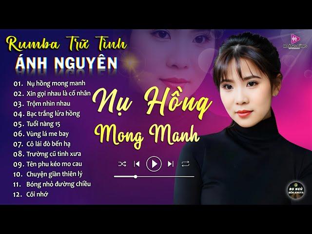 NỤ HỒNG MONG MANH  ALBUM RUMBA ÁNH NGUYÊN HAY NHẤT MỌI THỜI ĐẠI  LK RUMBA CỰC HÓT 2024