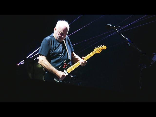 David Gilmour - Comfortably Numb Live ROMA Circo Massimo, 27 Settembre 2024