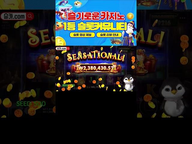 슬기로운카지노 카메오 펭귄 캐롤메 800배! #슬롯머신 #슬롯 #프라그마틱 #잭팟 #slot #pragmatic