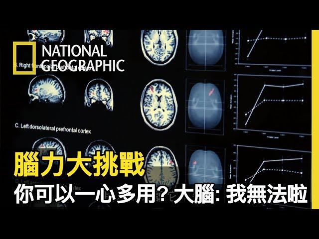 測試你的專注度____分!! 原來一心多用沒那麼容易的原因是，大腦本來的設計就是單一鎖定的!【腦力大挑戰】