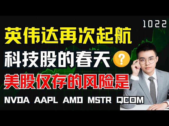 英伟达再次起航，科技股春天来了？美股仅存的风险！本期股票NVDA AAPL AMD MSTR QCOM