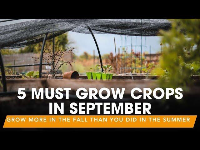 5 Must-Grow Crops to Plant in September | Grow MORE in the Fall than You did in the Summer