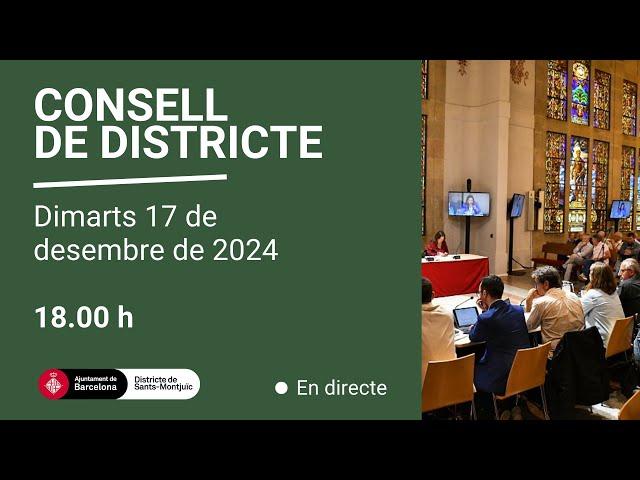 Plenari de Sants-Montjuïc, 17 de desembre de 2024