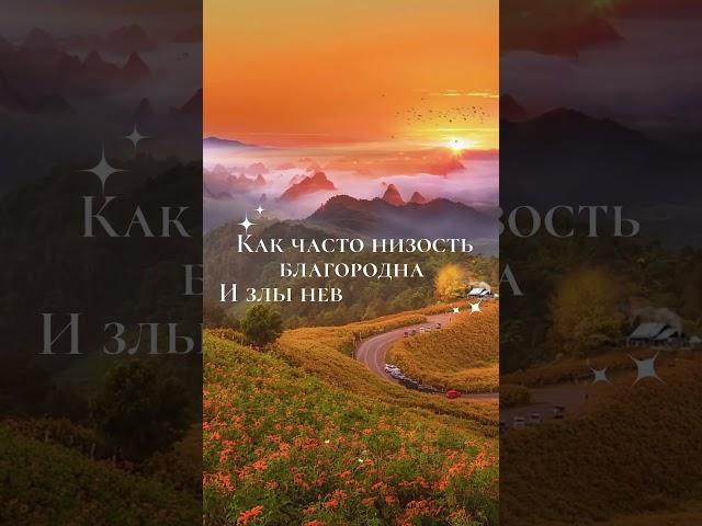 #дуэт #уходзажирнойкожей #афоризмы #rek #аффирмации #классик #цитаты #мудрыемысли #мудрыеслова