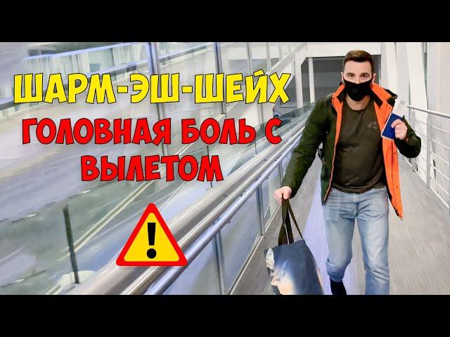 Египет 2022. Головная боль с вылетом. Шарм эль Шейх 5 звезд!