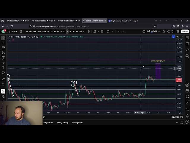 XRP Shake Out Is On The Way: BUY THE DIP AND HODL