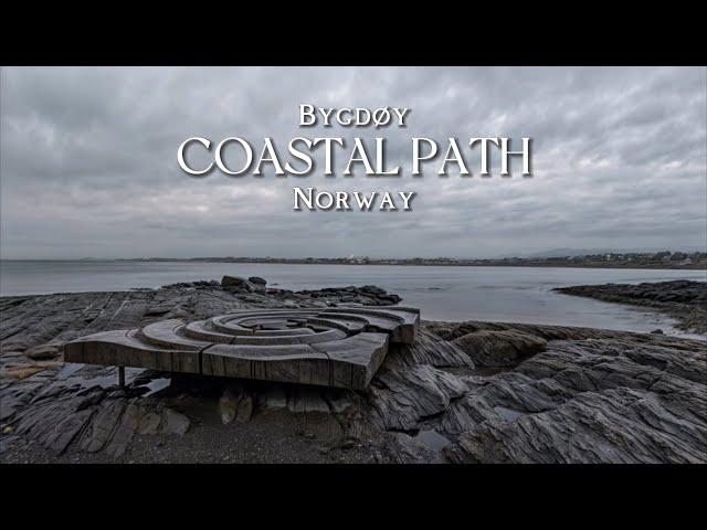  Soothing Walk and Rain Sounds | Coastal Paths near Oslo | Norway
