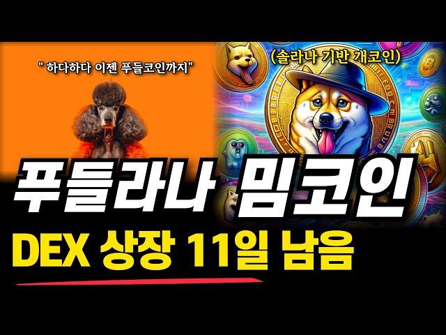 솔라나 밈코인 푸들라나 DEX 상장 11일 남았습니다! 사전판매 밈코인 도대체 어디까지 갈까