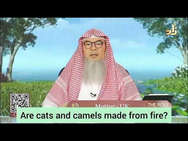 Are cats & camels made from fire? (Jinns)? - assim al hakeem