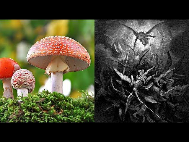 Psychedelics, Drugs, & The Bible: Fallen Angel Sorcery