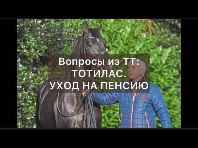 Тотилас. Уход на пенсию. Ответы на вопросы из TikTok
