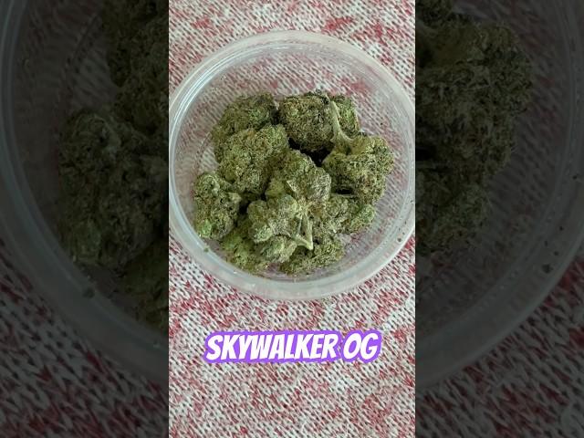 Skywalker Og Strain Review